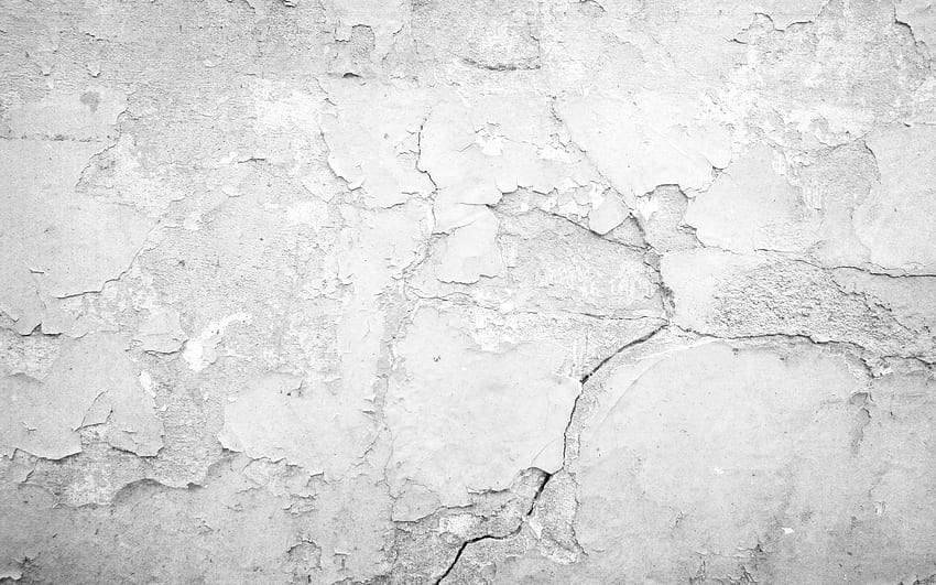 parede de pedra cinza, parede velha, texturas de pedra, fundo cinza grunge, macro, pedras cinzas, fundo de pedra, fundo cinza, pedra cinza para com resolução. Alta qualidade papel de parede HD