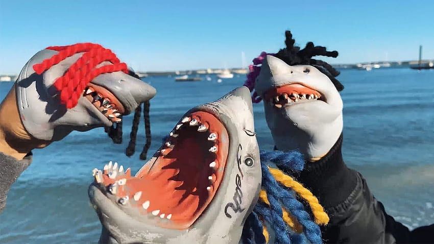 Buckets (Music Video), Shark Puppet HD wallpaper | Pxfuel