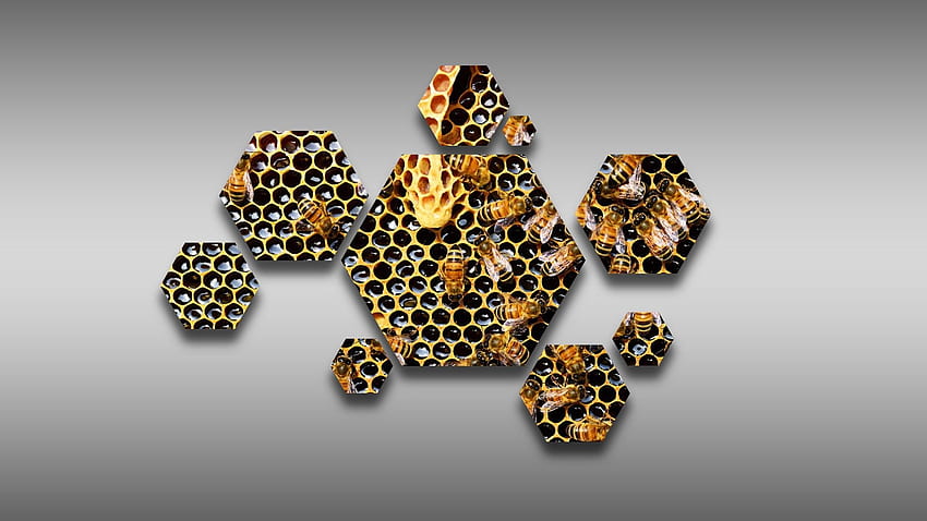 Sechseck, Bienen, Bienenwürfel, Bienenstock, Bienenstock, Waben, Honig HD-Hintergrundbild
