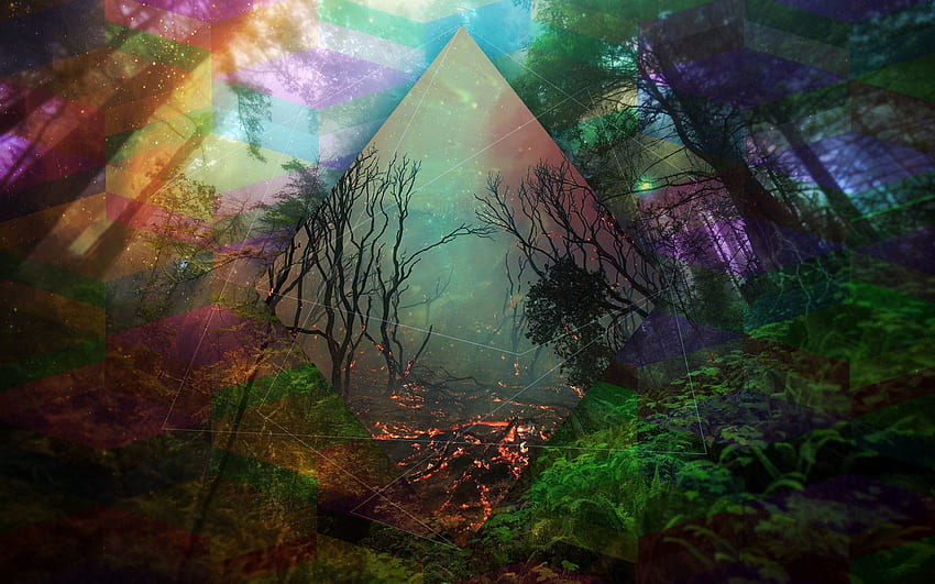 Trippy Forest, Psychedelic Landscape HD wallpaper