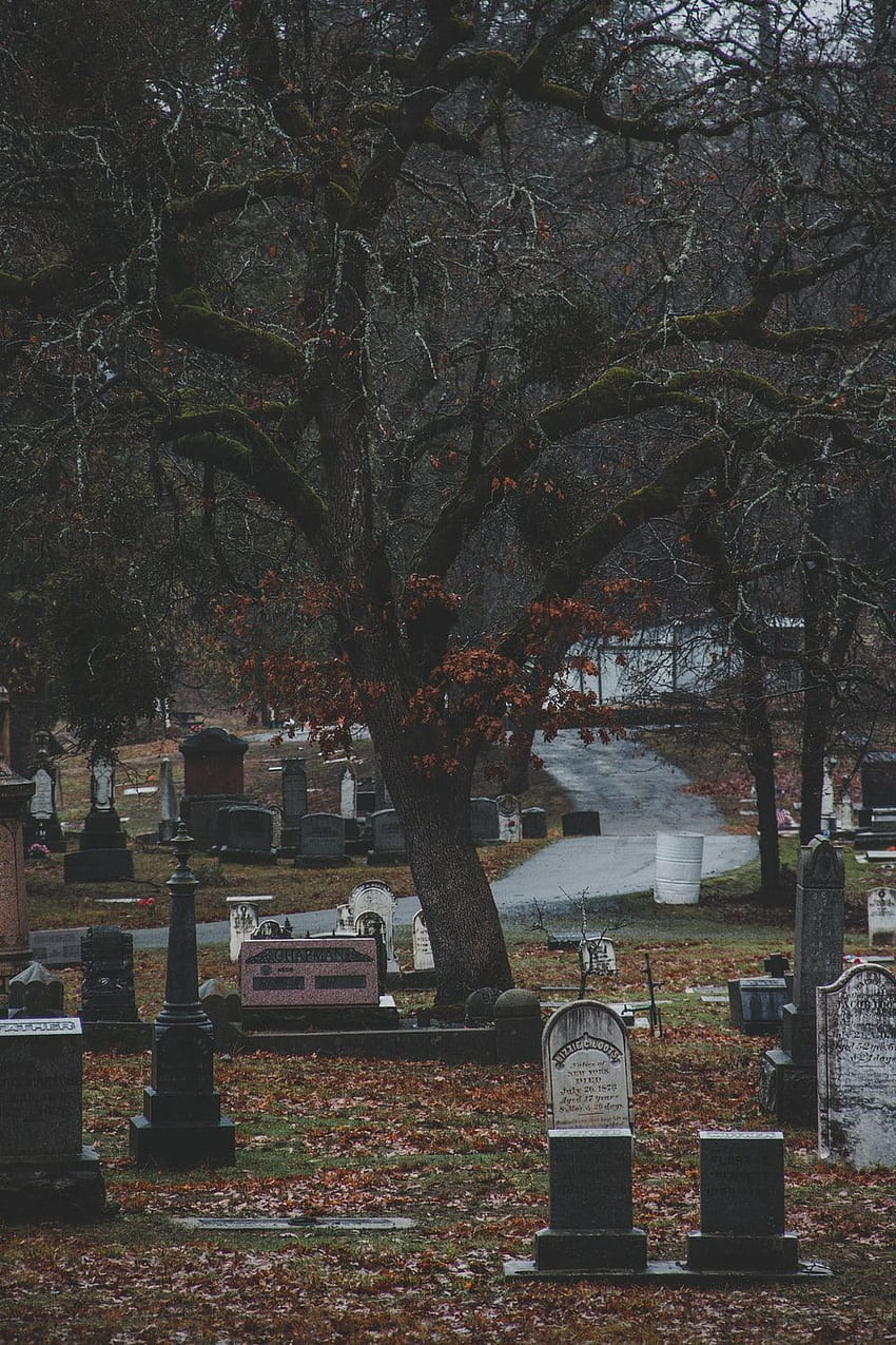 Graveyard, Dark Cemetery HD phone wallpaper