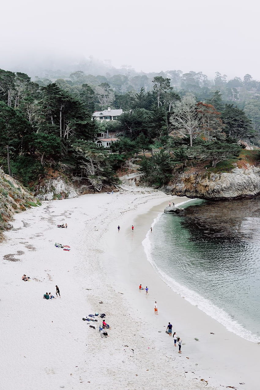 grupo de personas de pie junto a la orilla del mar – Playa, Carmel By The Sea fondo de pantalla del teléfono