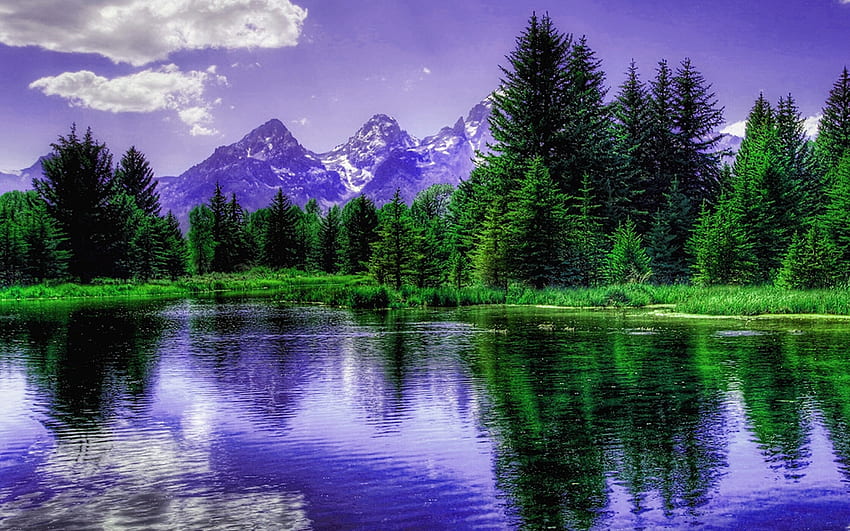 Lila Berge, Bäume, Berge, Spiegelung, See HD-Hintergrundbild