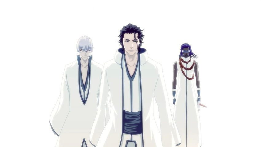 Sōsuke Aizen, Bleach Wiki