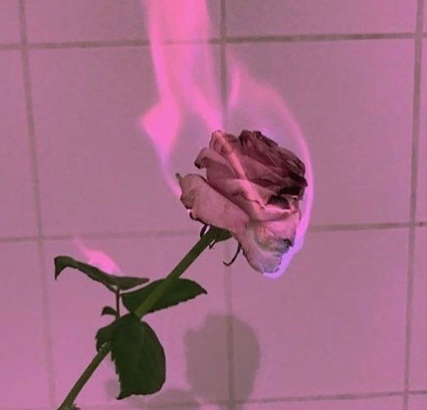 Estetyczny iPhone w stylu retro. Retro Grunge Aesthetic w 2020 r. Różowa estetyka, Estetyczne róże, Pastelowy róż, Dziewczęcy Grunge Tapeta HD