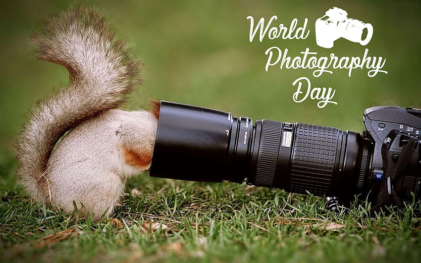 Camera Day, World graphy HD wallpaper