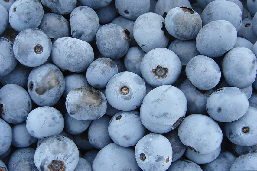 Blueberries, ripen, fruits HD wallpaper