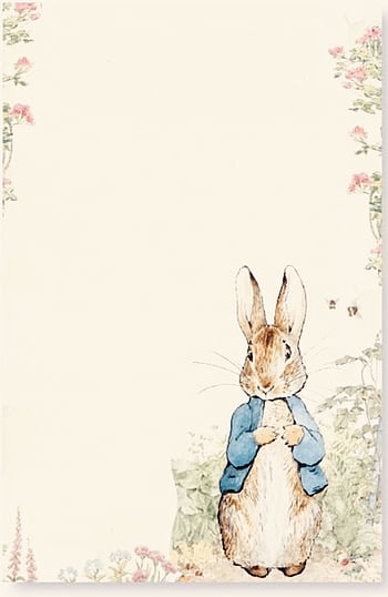 Peter Rabbit Release date Specs Review Redesign and 4215x3020 for your   Mobile  Tablet beatrix potter HD phone wallpaper  Pxfuel