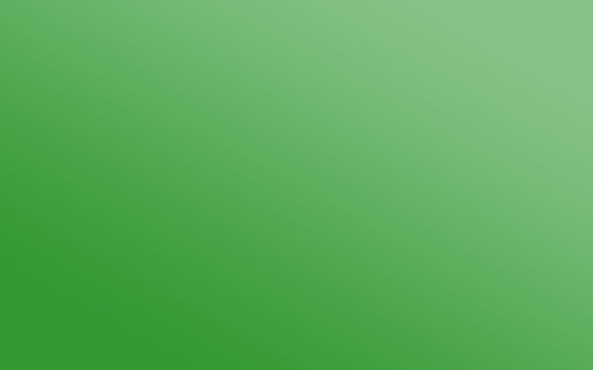 Verde, claro, sólido, pintura y . fondo de pantalla | Pxfuel