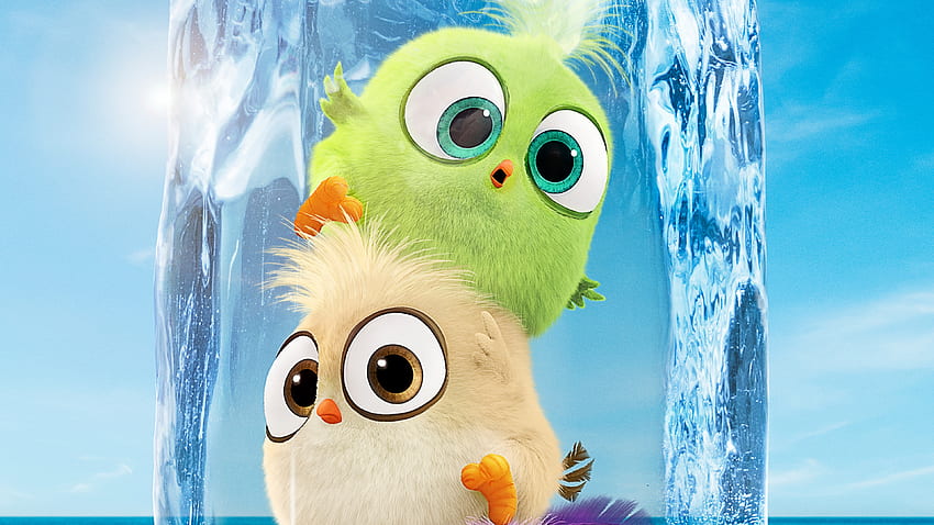 Filhotes no filme Angry Birds 2 - Angry Bird Movies 2 - -, Cute Angry Birds papel de parede HD