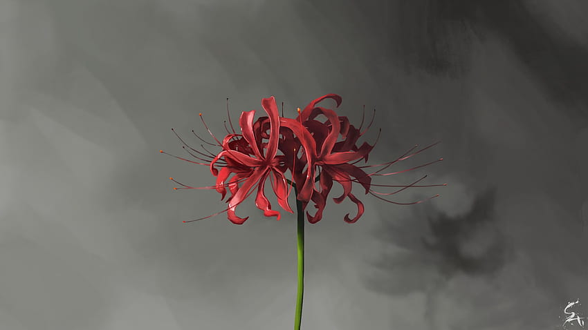 Spider Lily Flower Anime GIF  Spider Lily Flower Anime Anime Flower   Discover  Share GIFs