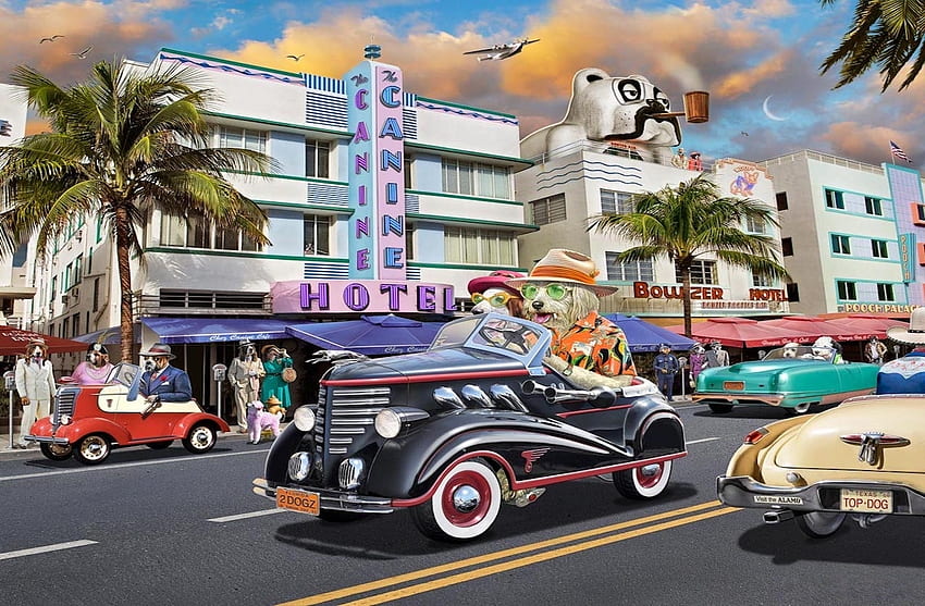 Dog Days in Miami, psy, śmieszne, art deco, samochody, palmy Tapeta HD