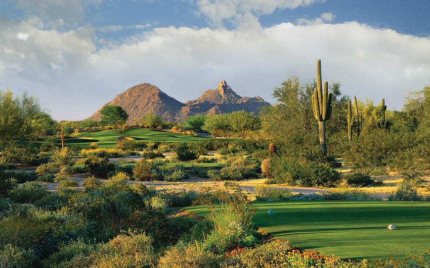 Pole golfowe Phoenix Arizona — Grayhawk Scottsdale — — Tapeta HD