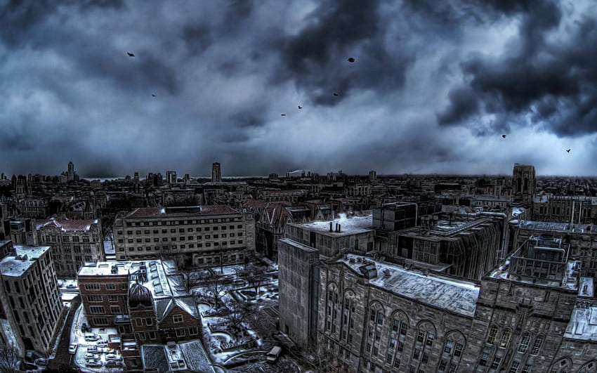 kota abu-abu r, musim dingin, menjemukan, burung, kota, r, awan abu-abu Wallpaper HD
