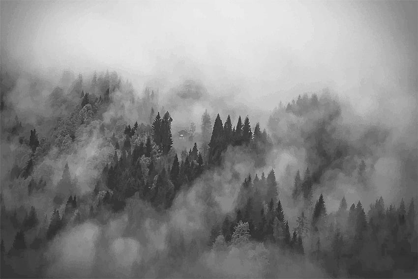 Fog Forest , Foggy Hills Mural. anewall – Anewall, Foggy Fall HD wallpaper