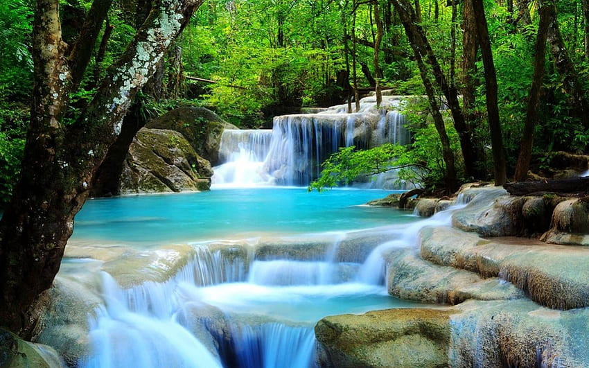 Cachoeira da floresta tropical, Cachoeira da selva papel de parede HD