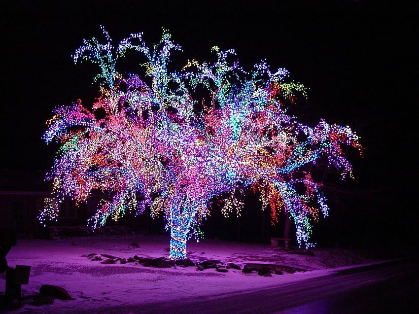 Bella scintilla colorata all'aperto albero di Natale illuminato pieno, splendido Natale. Luci natalizie, Natale viola, illuminazione dell'albero di Natale Sfondo HD