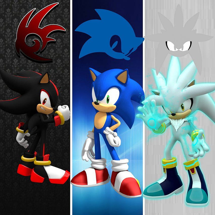 result for Sonic Shadow And Silver Camelot. Silver HD phone wallpaper