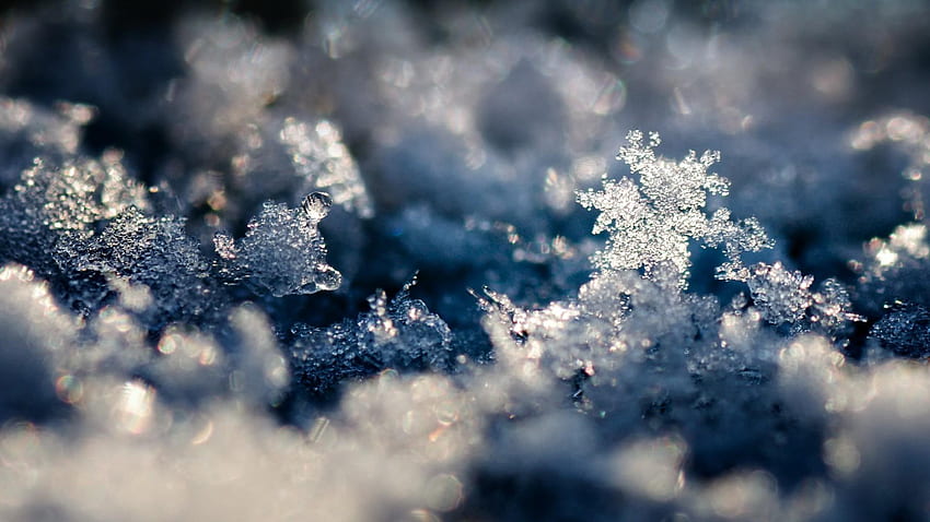 Frost melting snow winter HD wallpaper