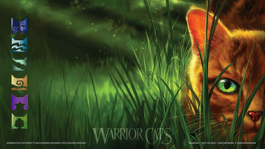 Warrior Cats Zoom Background For Your Lockdown Video Calls. Warrior Cats, Warriors Cat HD wallpaper