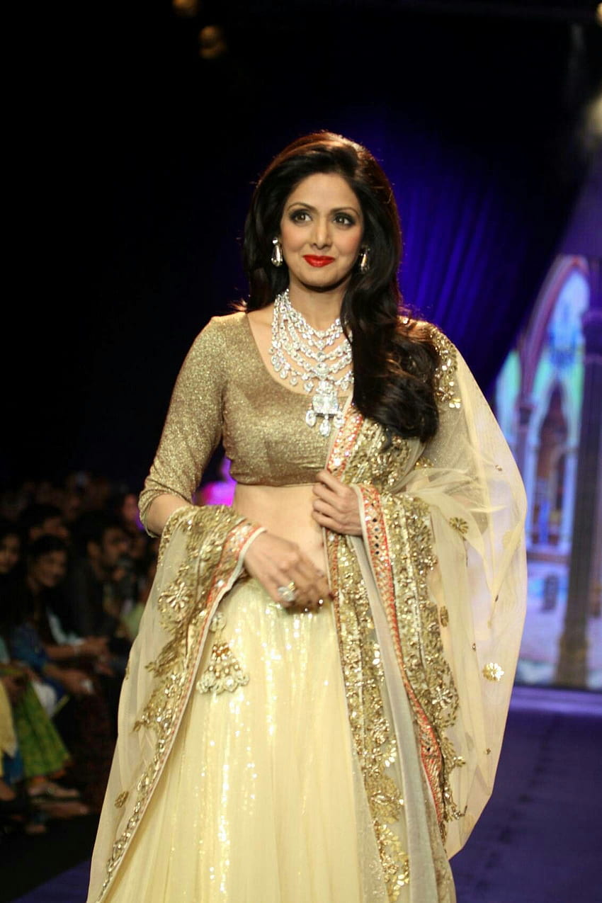 Amisha Roy em sridevi + Madhuri. modelos de blusa Papel de parede de celular HD