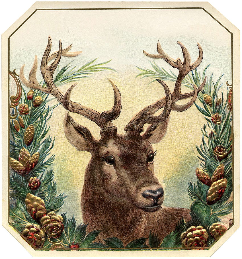 Deer and Antlers Clipart! - The Graphics Fairy, Vintage Christmas Reindeer HD phone wallpaper