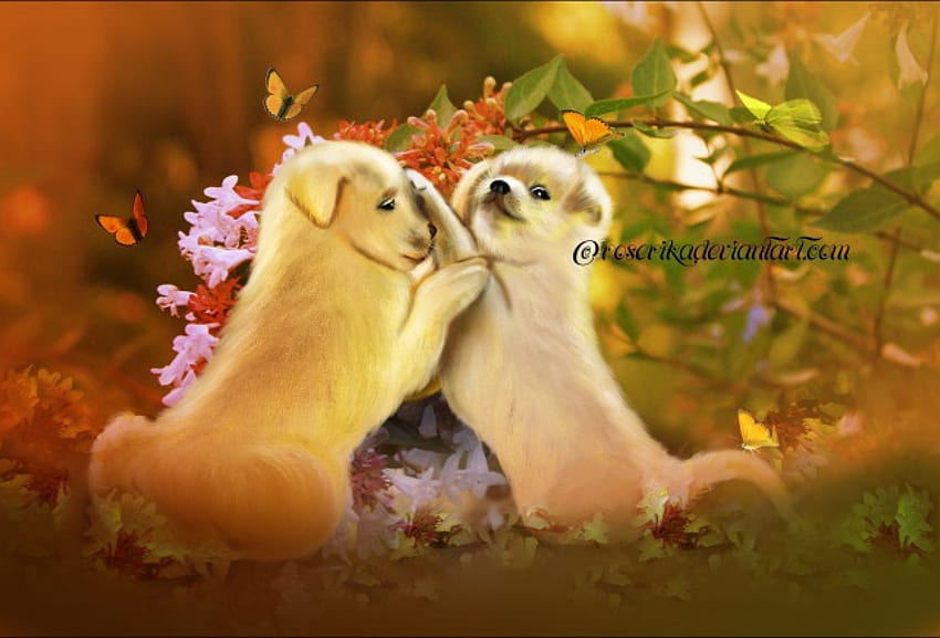 ✰Puppies Games✰, games, colorful, grasses, plants, dogs, cute, colors, puppies, manipulation, digital art, spring, butterflies, animals, trees, flutter, adorable, wings, sweet, beautiful, seasons, leaves, pretty, love, cool, nature, flowers, lovely HD wallpaper