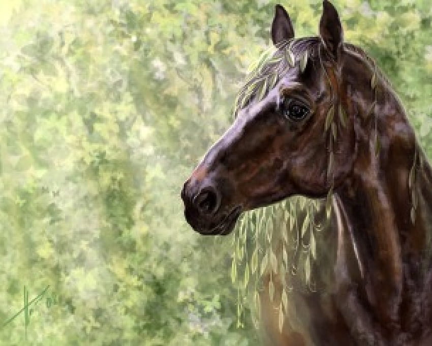 Stunning horse portrait, animal, horse, portrait, beauty HD wallpaper