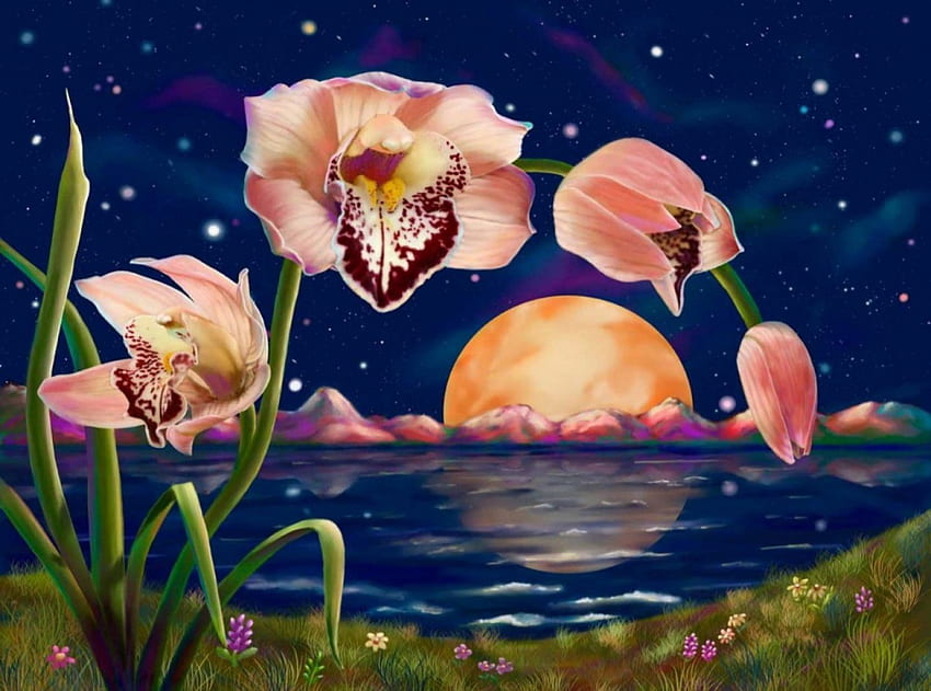 달빛, 밤, 하늘, 꽃, 난초, 별, 반사, 달빛의 난초 HD 월페이퍼
