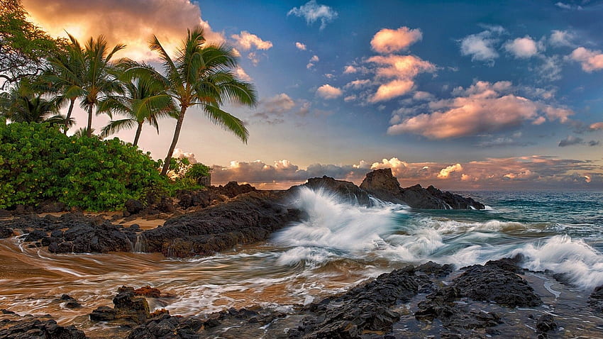 Tropikal Manzara Okyanus Palmiye Sahili Rock Grubu Gökyüzü Bulutlar Maui, 3840 X 2160 Okyanus HD duvar kağıdı