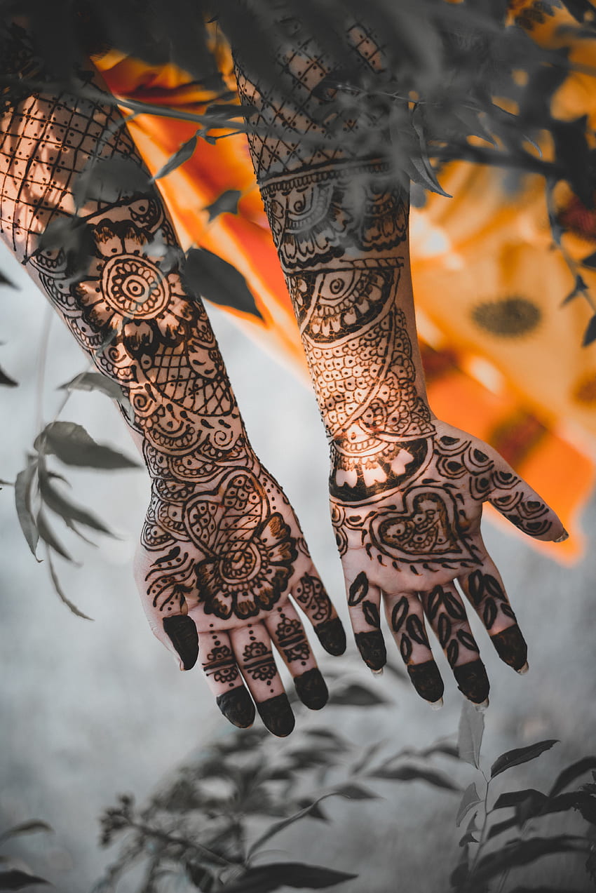 Patterns, , , Hands, Mehendi, Henna HD phone wallpaper