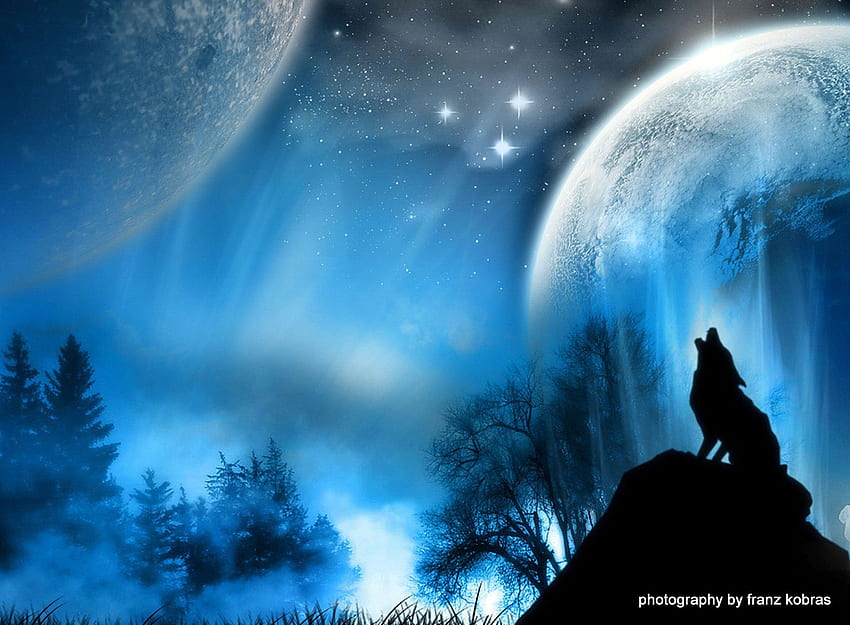 狼の遠吠え、自然、ファンタジー、オオカミ、月 高画質の壁紙