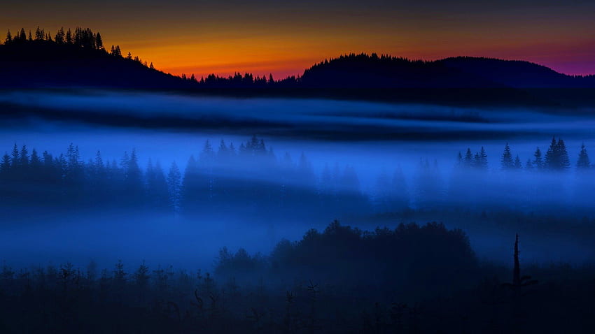 BOSQUE CUBIERTO DE NIEBLA, crepúsculo, niebla, paisaje, bosque, puesta de sol fondo de pantalla