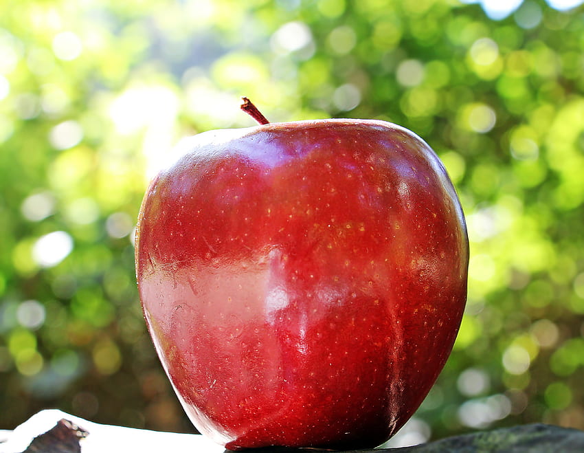 음식, 사과, 근접, 과일, 잘 익은 HD 월페이퍼