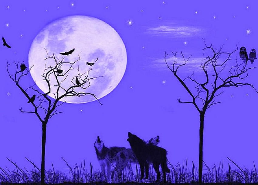Night voices, owls, full moon, birds, abstract, wolves, trees, blue background HD wallpaper