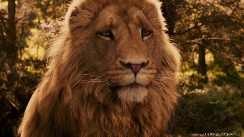 Narnia Aslan Wallpaper (68+ images)