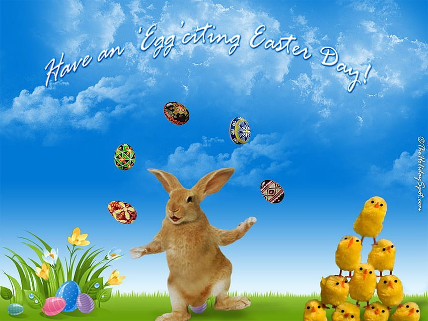 Happy Easter Bunny And Chicks, & background HD wallpaper