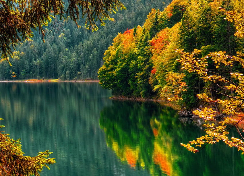 秋の反射、川、色、静けさ、静か、反射、木、秋、秋、美しい、湖、落下、葉、鏡、枝、自然、水、美しい、静けさ、森林、葉 高画質の壁紙