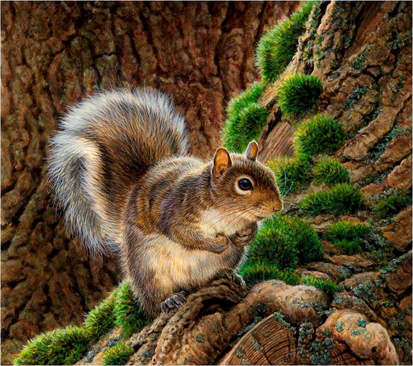 Écureuil doux, animal, peinture, art, nature, écureuil Fond d'écran HD