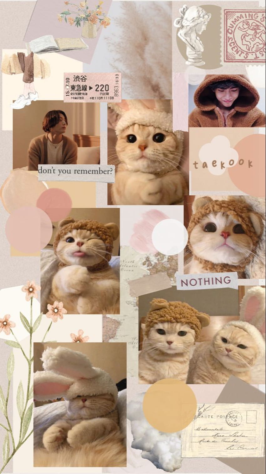 taekook mignon chat marron esthétique. Estetika kucing, Anak kucing gemas, Gambar kelinci, Cat Collage Fond d'écran de téléphone HD