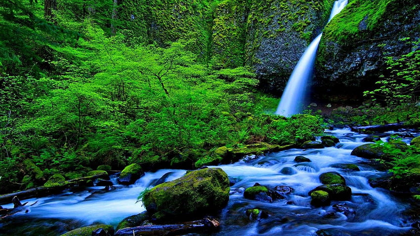 Cascada con musgo verde, cascada, bosque, arroyo, naturaleza, piedras, musgo, verde, árboles fondo de pantalla