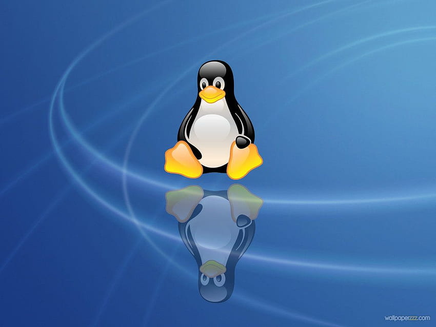 Linux Penguin, Linux Logo HD wallpaper