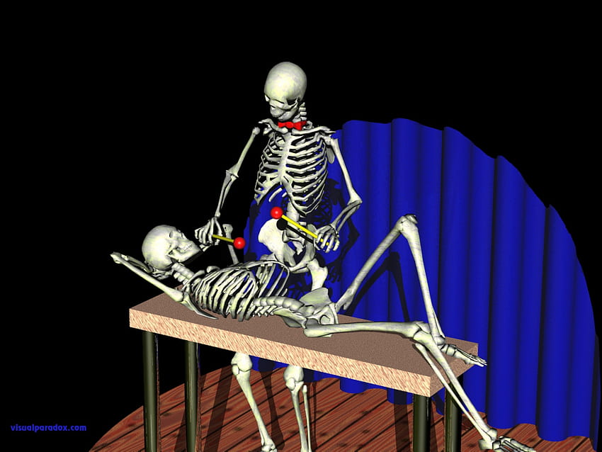 Squelettes musicalement inclinés, des squelettes cool et musicalement inclinés Fond d'écran HD