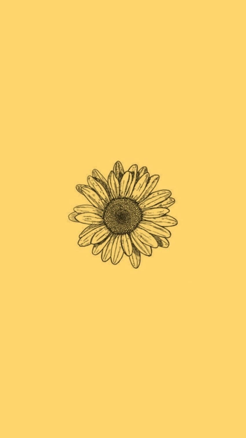 About tumblr in Sunflowers, Simple Sunflower HD phone wallpaper ...