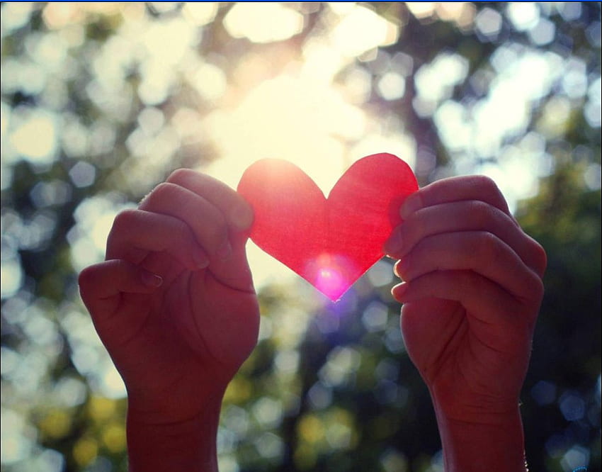 หัวใจกระดาษ หัวใจ กระดาษ ความรัก สีแดง วอลล์เปเปอร์ HD