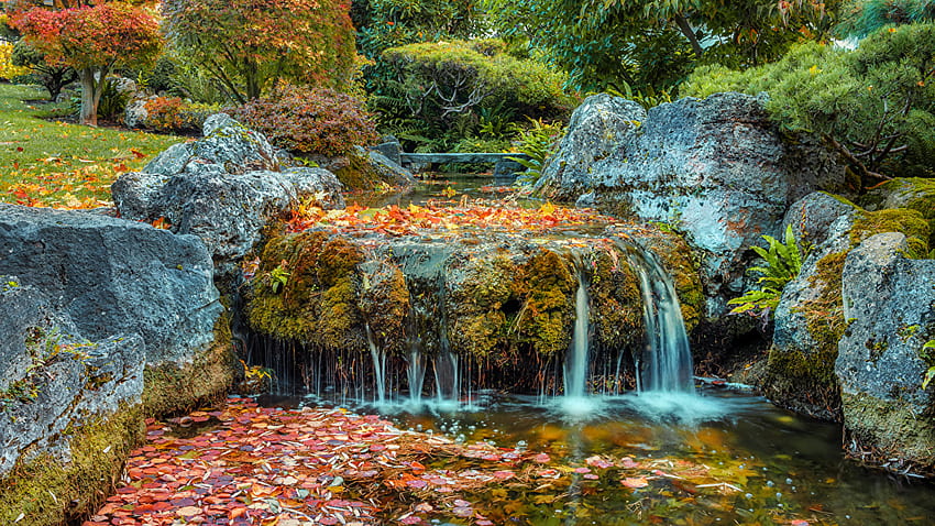 Wasserfall auf algenbedeckten Felsen Stream bunte trockene Blätter Büsche Bäume Garten Hintergrund Garten HD-Hintergrundbild