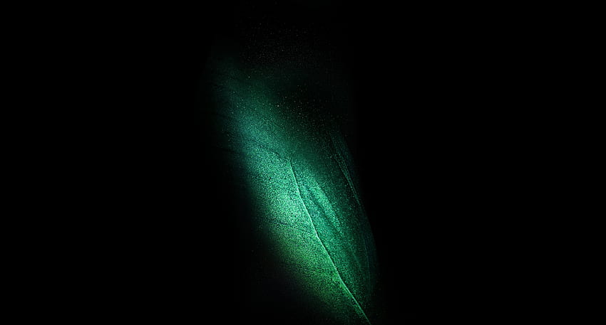 Samsung Galaxy Fold, minimal, leaf, green HD wallpaper