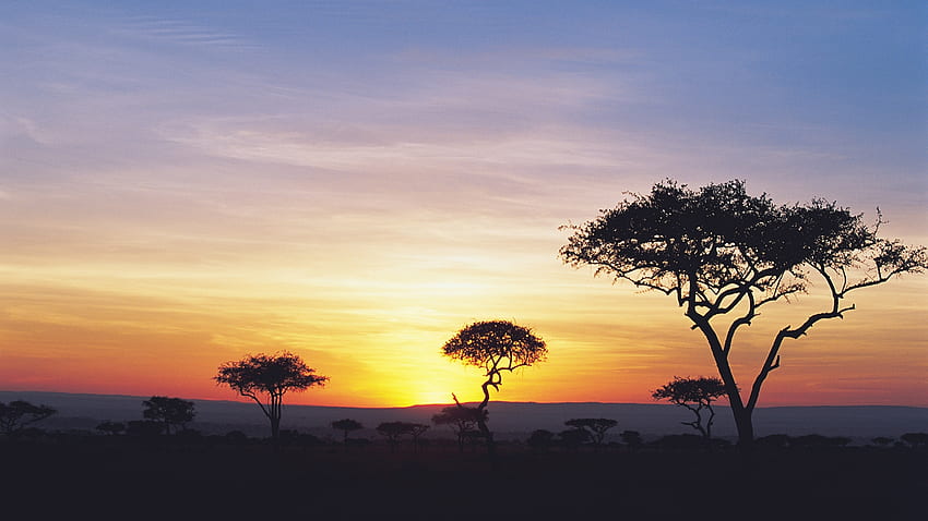 African Sunset, plains, trees, sky, Africa, Firefox Persona theme, sunset, sunrise HD wallpaper