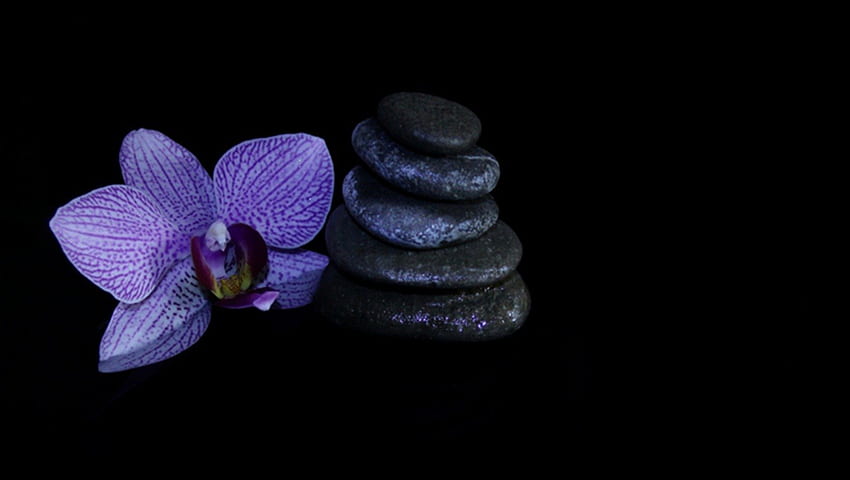 Zen, purple, abstract, orchid, stones HD wallpaper