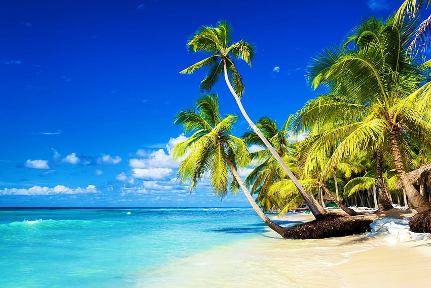 Tropical island, palms, sea, island, exotic, tropical, paradise, beautiful, beach, vacation, summer, sands, sky, ocean HD wallpaper
